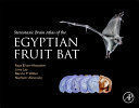 STEREOTAXIC BRAIN ATLAS OF THE EGYPTIAN FRUIT BAT