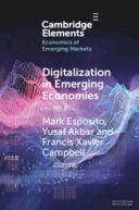 DIGITALIZATION IN EMERGING ECONOMIES