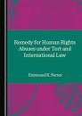 REMEDY FOR HUMAN RIGHTS ABUSES UNDER TORT AND INTERNATIONAL LAW