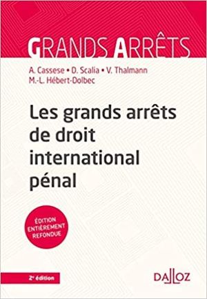 LES GRANDS ARRÊTS DE DROIT INTERNATIONAL PÉNAL