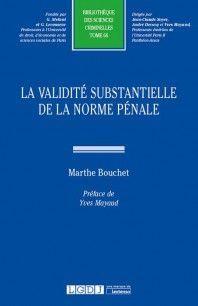 LA VALIDITÉ SUBSTANTIELLE DE LA NORME PÉNALE