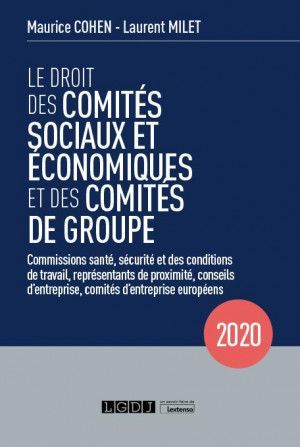 LE DROIT DES COMITÉS SOCIAUX ET ÉCONOMIQUES ET DES COMITÉS DE GROUPE (CSE)
