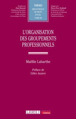 L'ORGANISATION DES GROUPEMENTS PROFESSIONNELS
