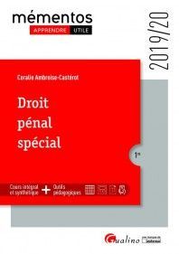 DROIT PÉNAL SPÉCIAL