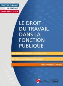 LE DROIT DU TRAVAIL DANS LA FONCTION PUBLIQUE