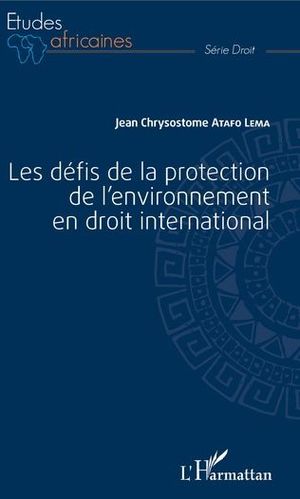 LES DÉFIS DE LA PROTECION DE L'ENVIRONNEMENT EN DROIT INTERNATIONAL