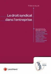 LE DROIT SYNDICAL DANS L'ENTREPRISE