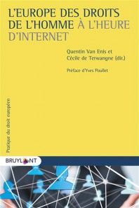 L'EUROPE DES DROITS DE L'HOMME À L'HEURE D'INTERNET