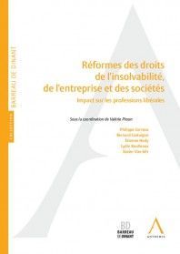 RÉFORMES DES DROITS DE L'INSOLVABILITÉ, DE L'ENTREPRISE ET DES SOCIÉTÉS