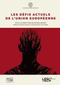 LES DÉFIS ACTUELS DE L'UNION EUROPÉENNE