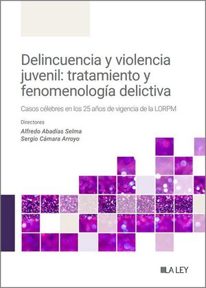 DELINCUENCIA Y VIOLENCIA JUVENIL