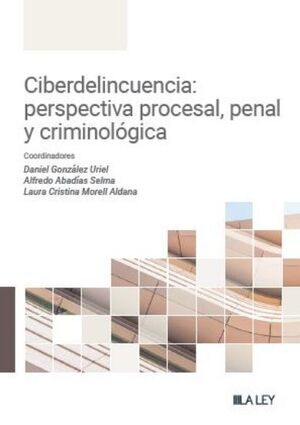 CIBERDELINCUENCIA: PERSPECTIVA PENAL, PROCESAL Y CRIMINOLÓGICA