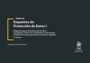 ESQUEMAS DE PROTECCIÓN DE DATOS, I (TOMO LIV)