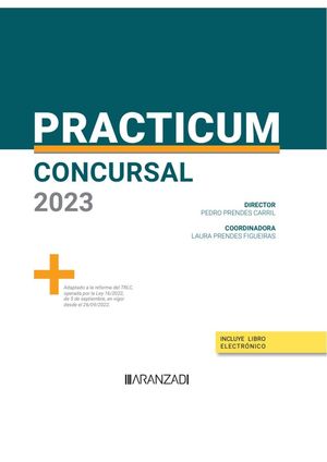 PRACTICUM CONCURSAL 2023