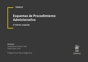 ESQUEMAS DE PROCEDIMIENTO ADMINISTRATIVO, IX