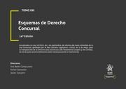 ESQUEMAS DE DERECHO CONCURSAL. TOMO XXI
