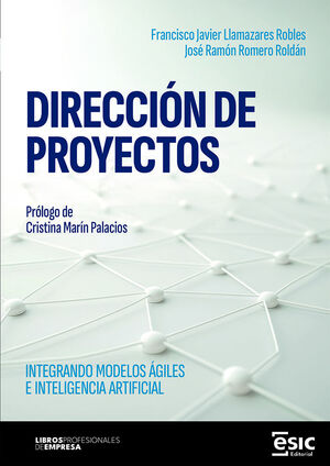 DIRECCION DE PROYECTOS