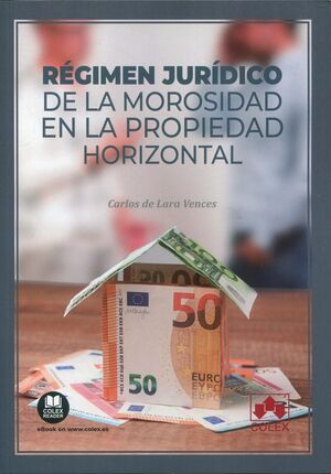 REGIMEN JURIDICO DE LA MOROSIDAD EN LA PROPIEDAD HORIZONTAL