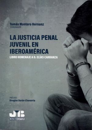 LA JUSTICIA PENAL JUVENIL EN IBEROAMERICA