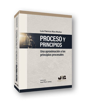 PROCESO Y PRINCIPIOS