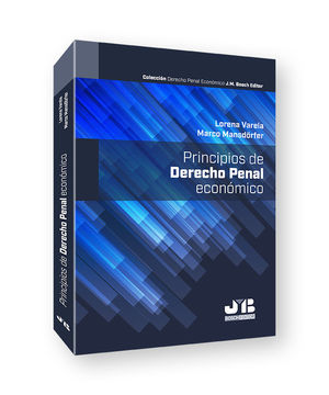 PRINCIPIOS DE DERECHO PENAL ECONOMICO