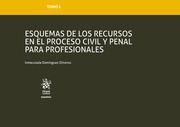 ESQUEMAS DE LOS RECURSOS EN EL PROCESO CIVIL Y PENAL PARA PROFESIONALES.