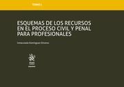 ESQUEMAS DE LOS RECURSOS EN EL PROCESO CIVIL Y PENAL PARA PROFESIONALES.