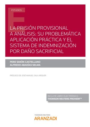 LA PRISIÓN PROVISIONAL A ANÁLISIS