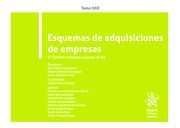 ESQUEMAS DE ADQUISICIONES DE EMPRESAS, XXX