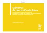 ESQUEMAS DE PROTECCIÓN DE DATOS. TOMO LIV