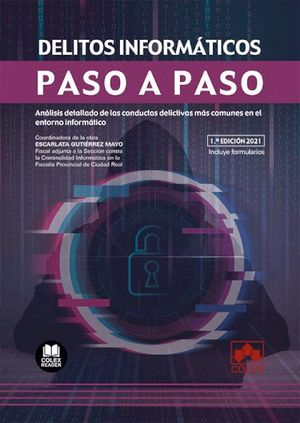 DELITOS INFORMÁTICOS. PASO A PASO