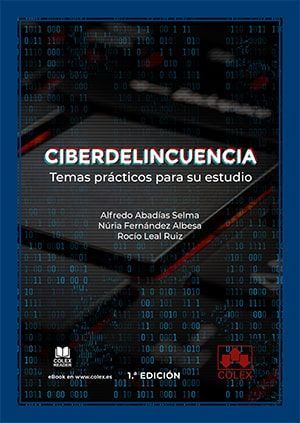 CIBERDELINCUENCIA: TEMAS PRACTICOS PARA SU ESTUDIO
