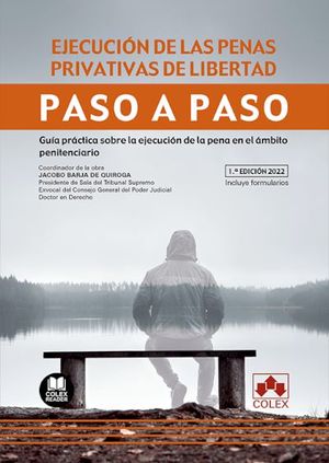 EJECUCION DE LAS PENAS PRIVATIVAS DE LIBERTAD. PASO A PASO.