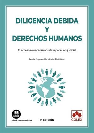 DILIGENCIA DEBIDA Y DERECHOS HUMANOS.