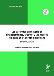 LAS GARANTÍAS EN MATERIA DE FINANCIAMIENTO,