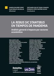 LA REBUS SIC STANTIBUS EN TIEMPOS DE PANDEMIA