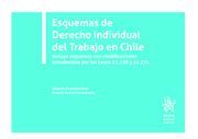 ESQUEMAS DE DERECHO INDIVIDUAL DEL TRABAJO EN CHILE