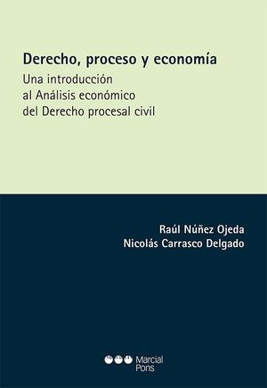 DERECHO PROCESO Y ECONOMIA