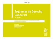 ESQUEMAS DE DERECHO CONCURSAL. XXI