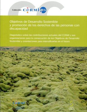 OBJETIVOS DE DESARROLLO SOSTENIBLE Y PROMOCIÓN DE LOS DERECHOS DE LAS PERSONAS CON DISCAPACIDAD.