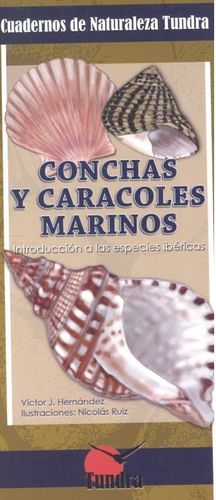 CONCHAS Y CARACOLES MARINOS. INTRODUCCION A LAS ESPECIES IBERICAS