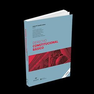 DERECHO CONSTITUCIONAL BASICO