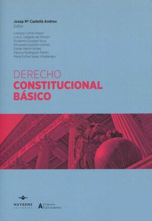 DERECHO CONSTITUCIONAL BASICO