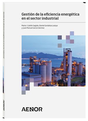 GESTION DE LA EFICIENCIA ENERGETICA EN EL SECTOR INDUSTRIAL