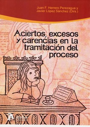 ACIERTOS, EXCESOS Y CARENCIAS EN LA TRAMITACIÓN DEL PROCESO