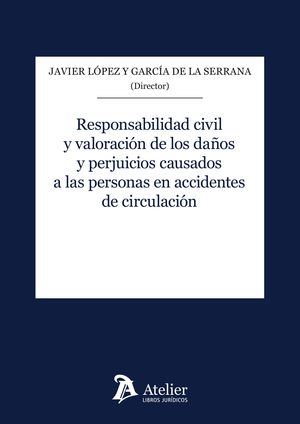 RESPONSABILIDAD CIVIL Y VALORACION DE LOS DAÑOS Y PERJUICIOS CAUSADOS
