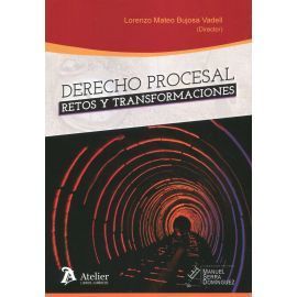 DERECHO PROCESAL: RETOS Y TRANSFORMACIONES