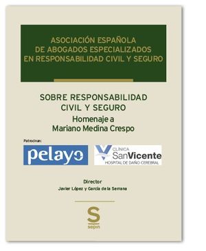 RESPONSABILIDAD CIVIL Y SEGURO.