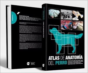 ALTAS DE ANATOMIA DEL PERRO