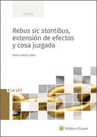 REBUS SIC STANTIBUS, EXTENSION DE EFECTOS Y COSA JUZGADA